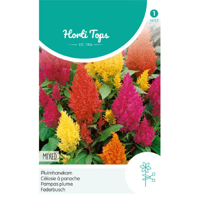 Celosia, Hanenkam (plumosa) gemengd