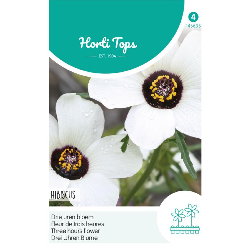 Hibiscus, Drie uren bloem
