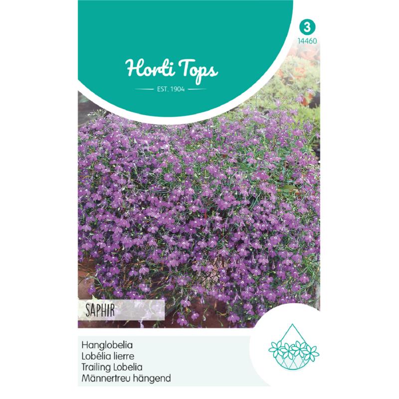 Lobelia, Hanglobelia Saphir
