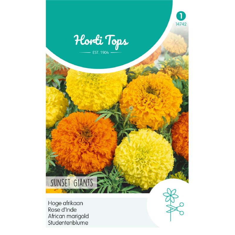 Tagetes, hoge Afrikaan Sunset Giants gemengd