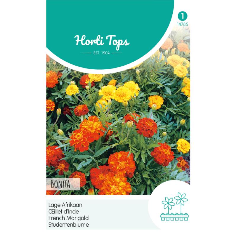 Tagetes, lage Afrikaan Bonita gemengd