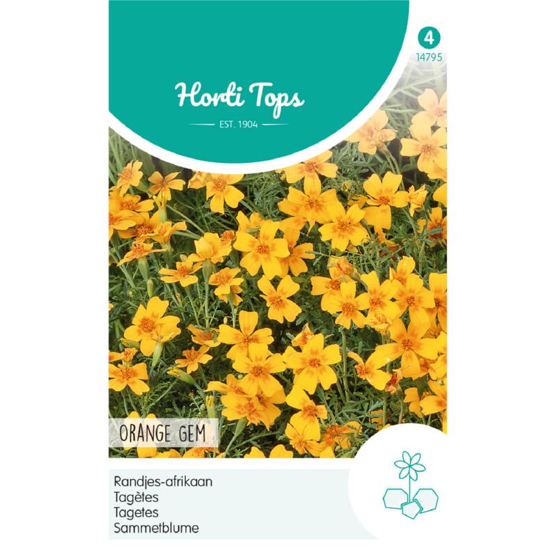 Tagetes, Randjes-afrikaan Orange