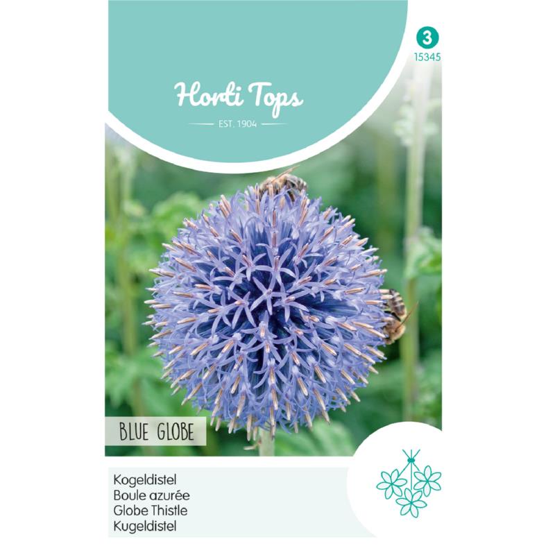 Echinops, Kogeldistel Blue Globe