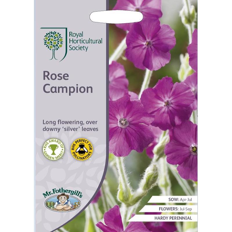 Dezaden Brandende Liefde Rose Campion