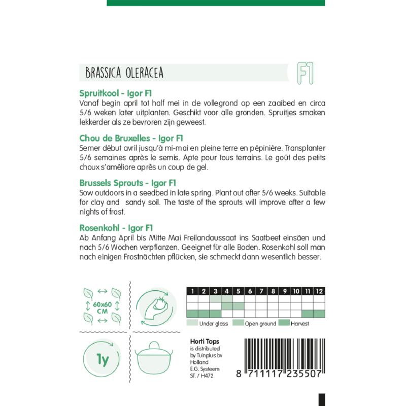 Spruitkool Igor F1 (Topline F1)