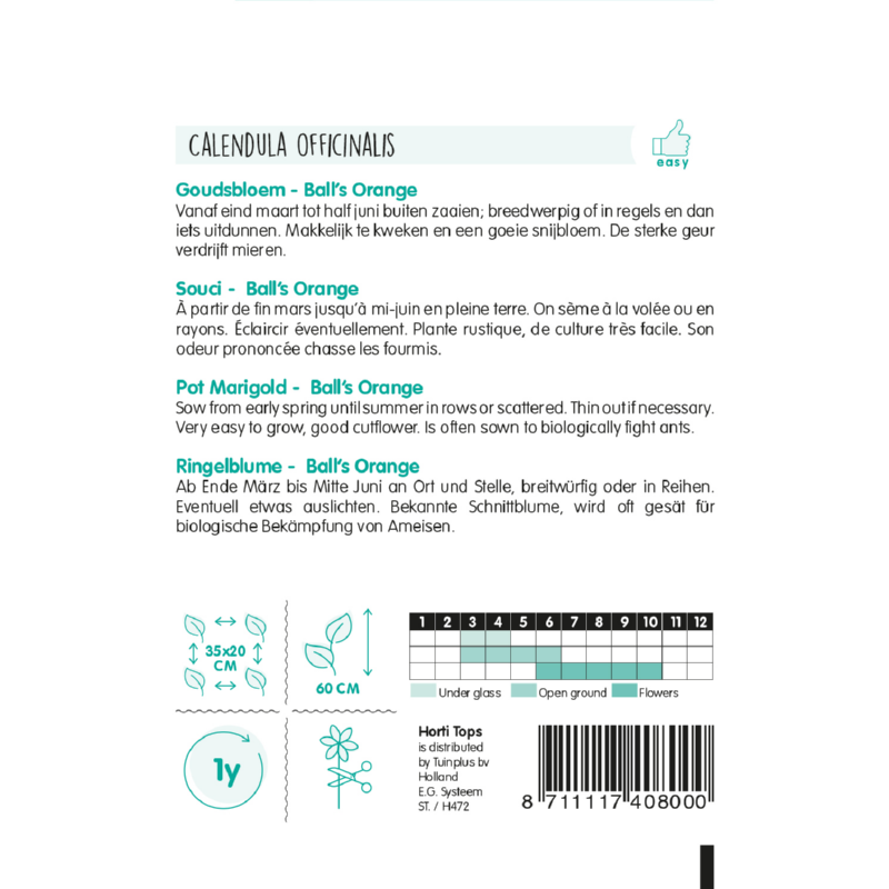 Calendula, Goudsbloem Ball's Oranje dubbelbloemig