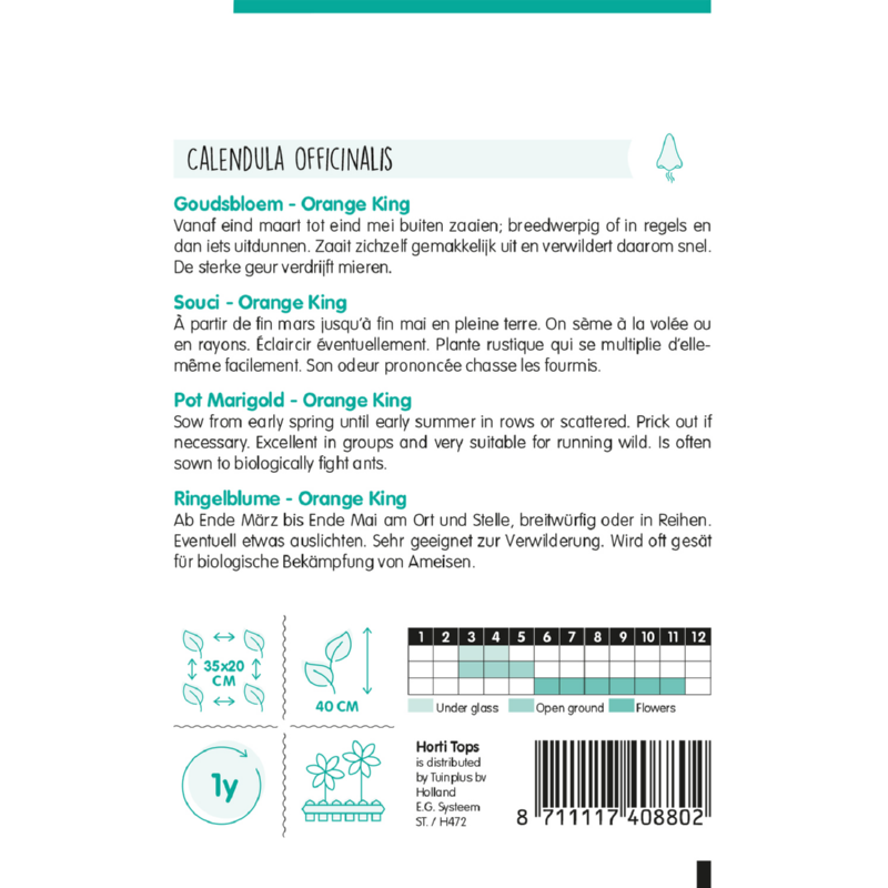 Calendula, Goudsbloem Orange King