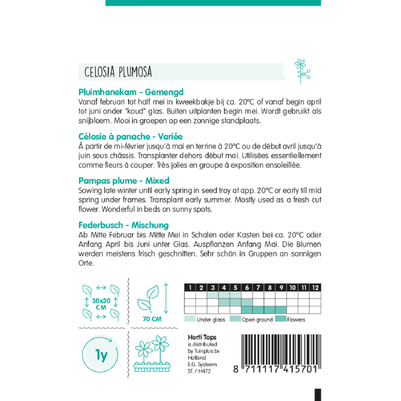 Celosia, Hanenkam (plumosa) gemengd
