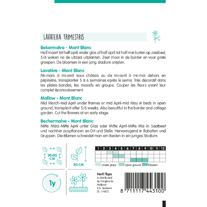 Lavatera, Bekermalva Mont Blanc