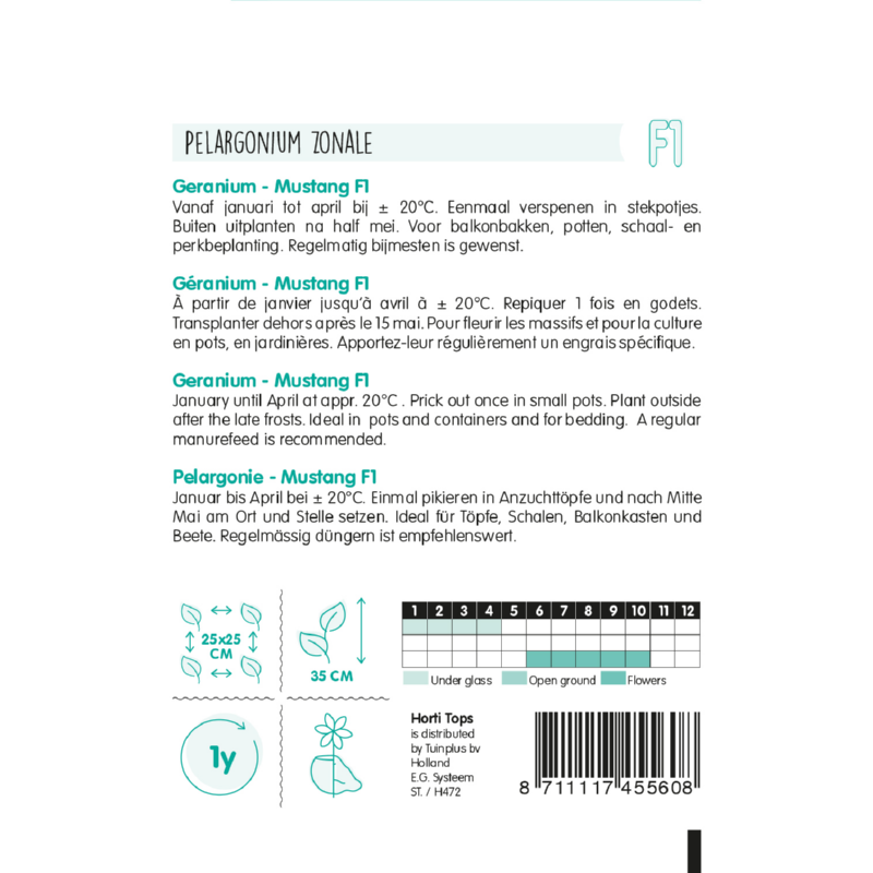 Pelargonium, Geranium Mustang F1 rood