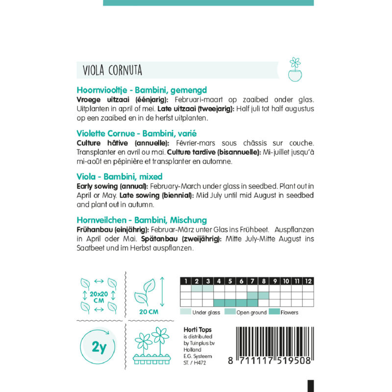 Viola, Hoornviooltje Bambini gemengd