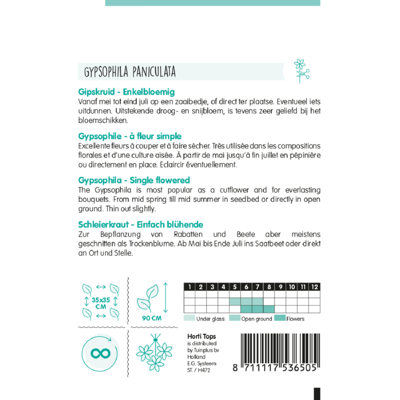 Gypsophila, Gipskruid enkelbloemig wit