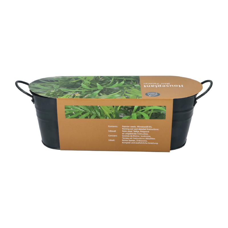 Teiltje met Minipalm