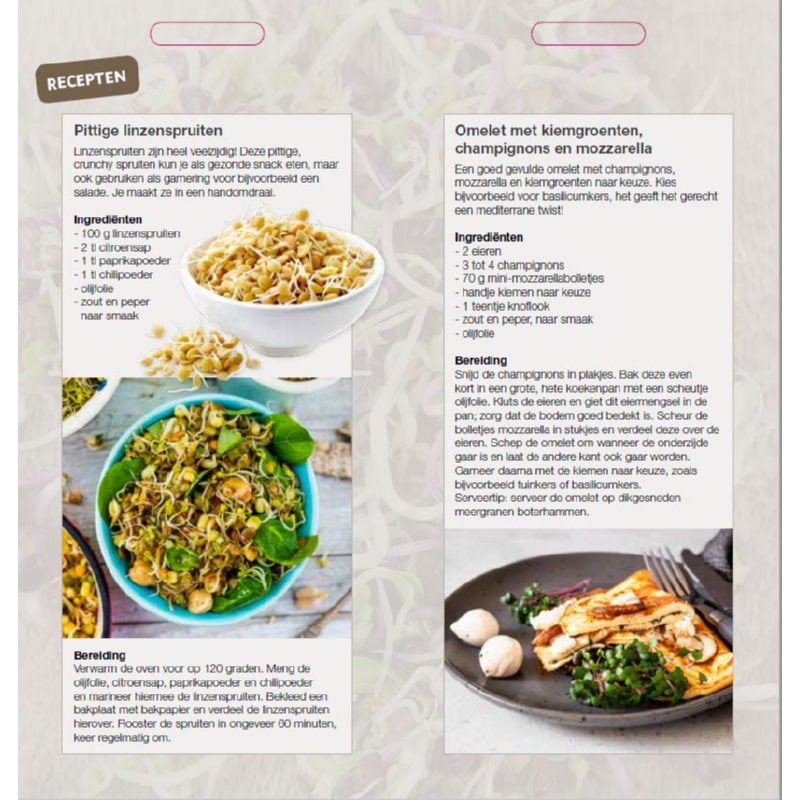 Brochure Buzzy Sprouting