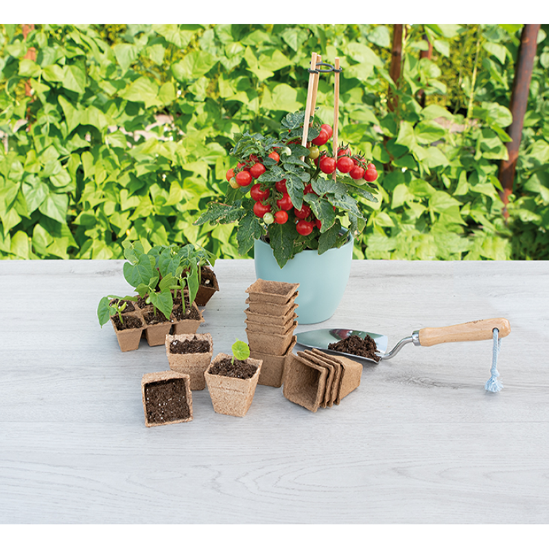 Biologisch afbreekbare kweekpotjes, 10 stuks vierkant 6cm