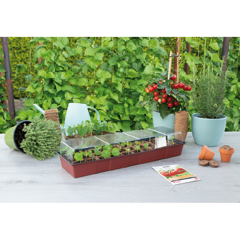 Vensterbank kweekkas + 30pots 4x4cm 
Afmeting 49x15x5,5cm