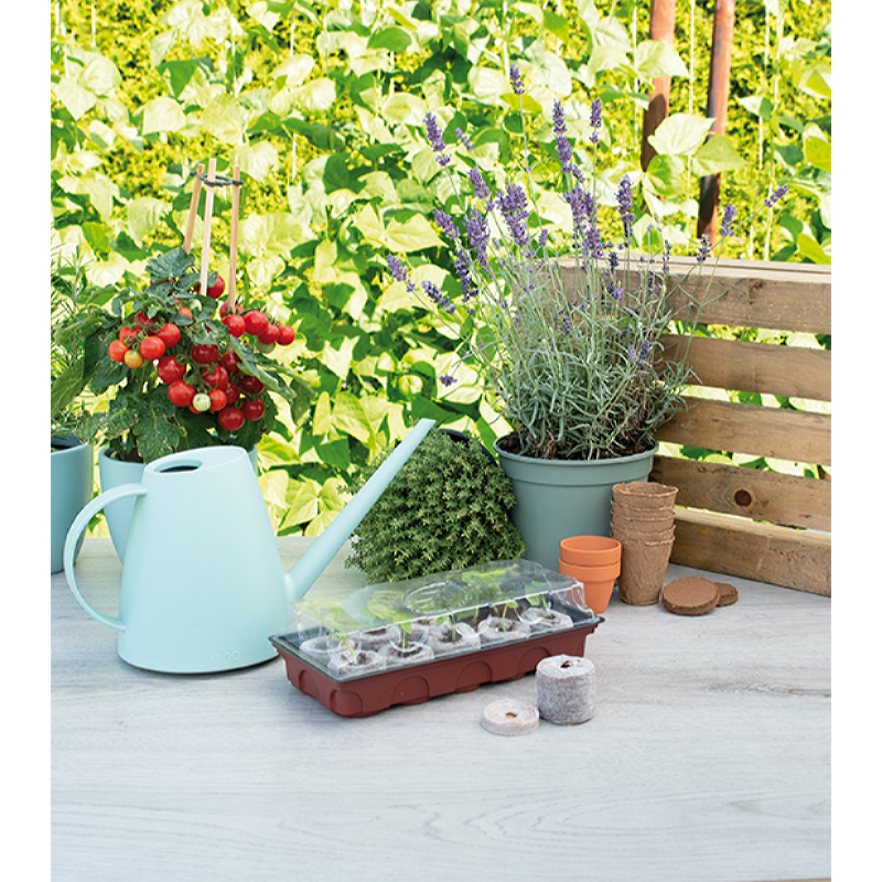 Kweekkas incl. 10 aardetabletten