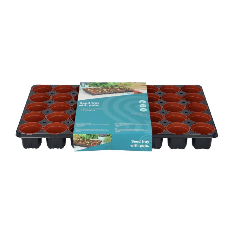 Kweekbak, zaai tray met 40 stuks 6cm stekpotjes