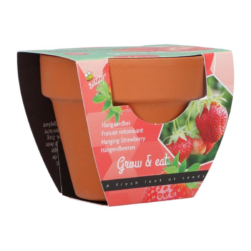 Grow Gift Aardbei