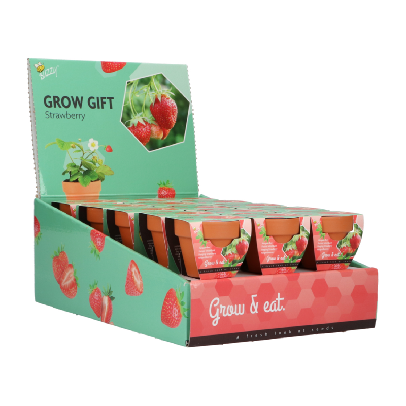 Grow Gift Aardbei