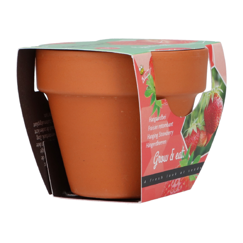 Grow Gift Aardbei