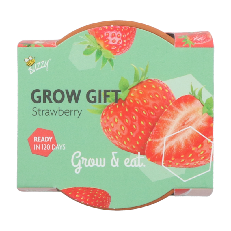 Grow Gift Aardbei