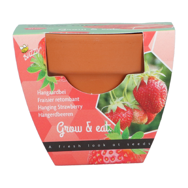 Grow Gift Aardbei