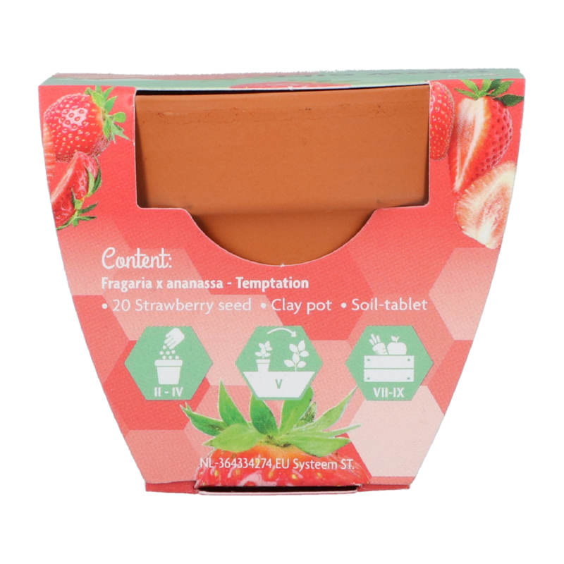 Grow Gift Aardbei