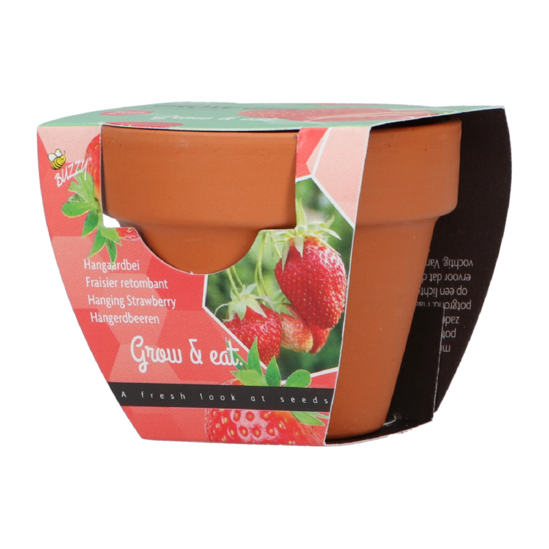 Grow Gift Aardbei