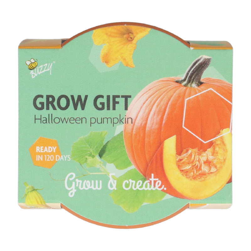 Grow Gift Pompoen