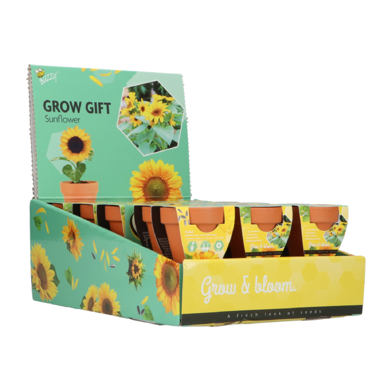 Grow Gift Zonnebloem