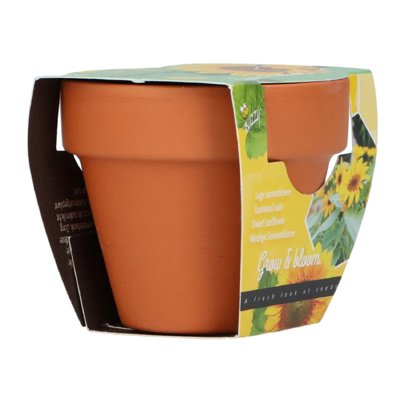 Grow Gift Zonnebloem