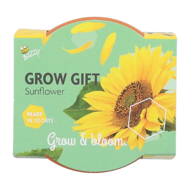 Grow Gift Zonnebloem