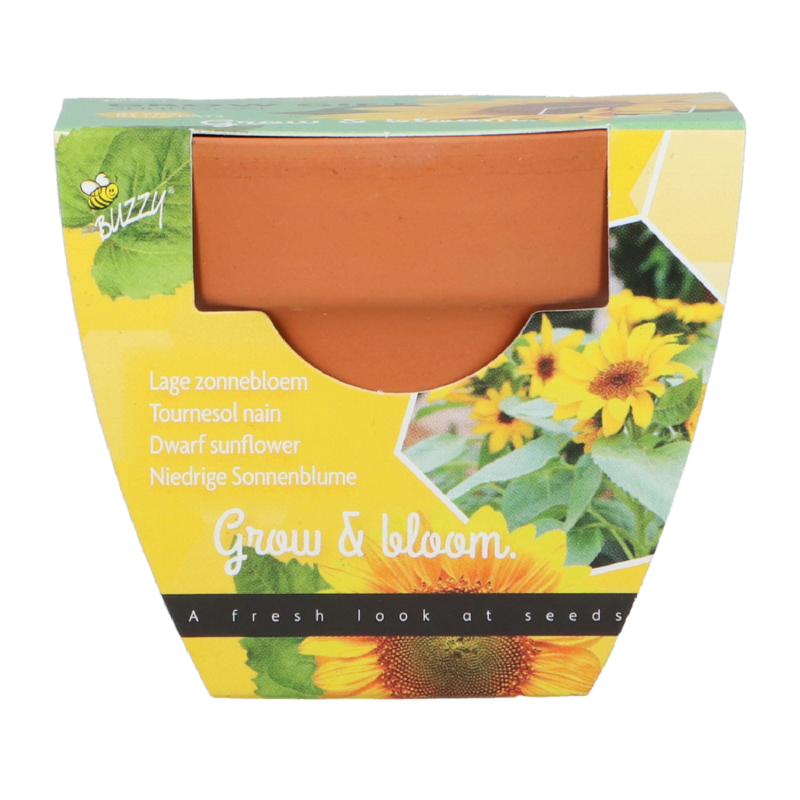Grow Gift Zonnebloem