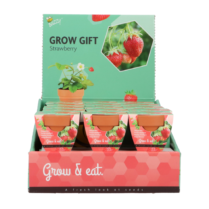 Grow Gift Aardbei