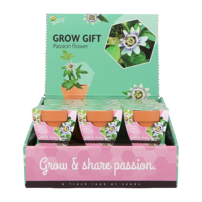 Grow Gift Passiflora