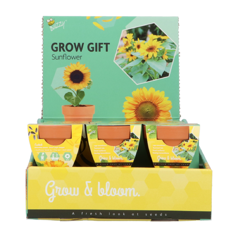 Grow Gift Zonnebloem
