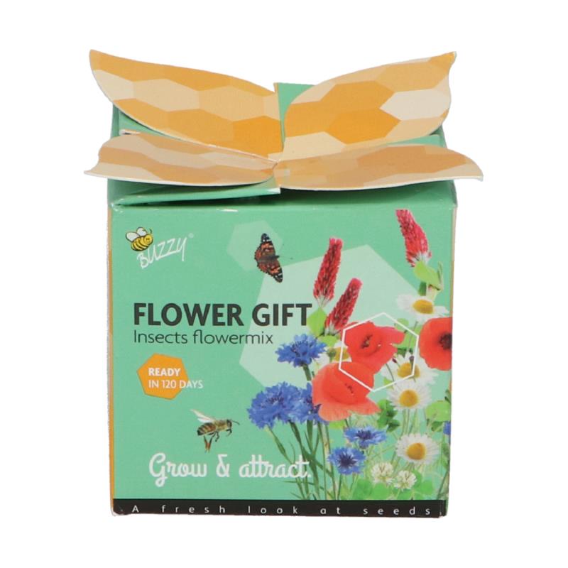 Flower Gift Bijen en Vlinders