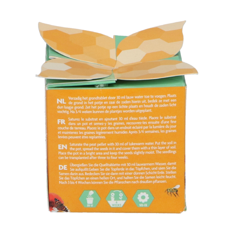 Flower Gift Bijen en Vlinders