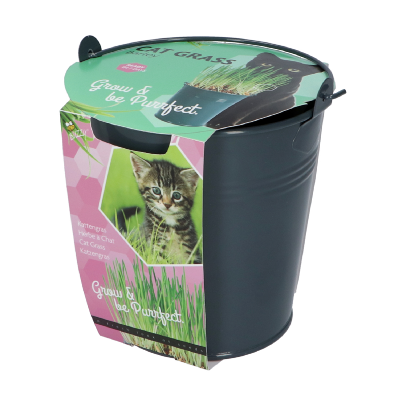 Kattengras in antraciet emmertje