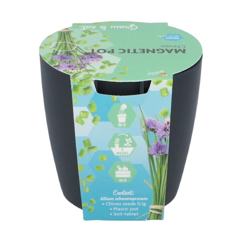 Magneet potje bieslook