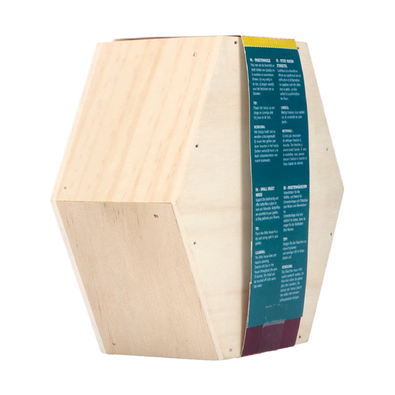 Insectenkast Hexagon voor Vlinders