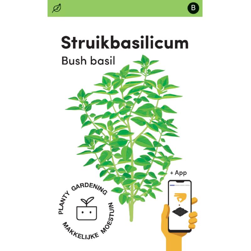 Makkelijke Moestuin Griekse Basilicum