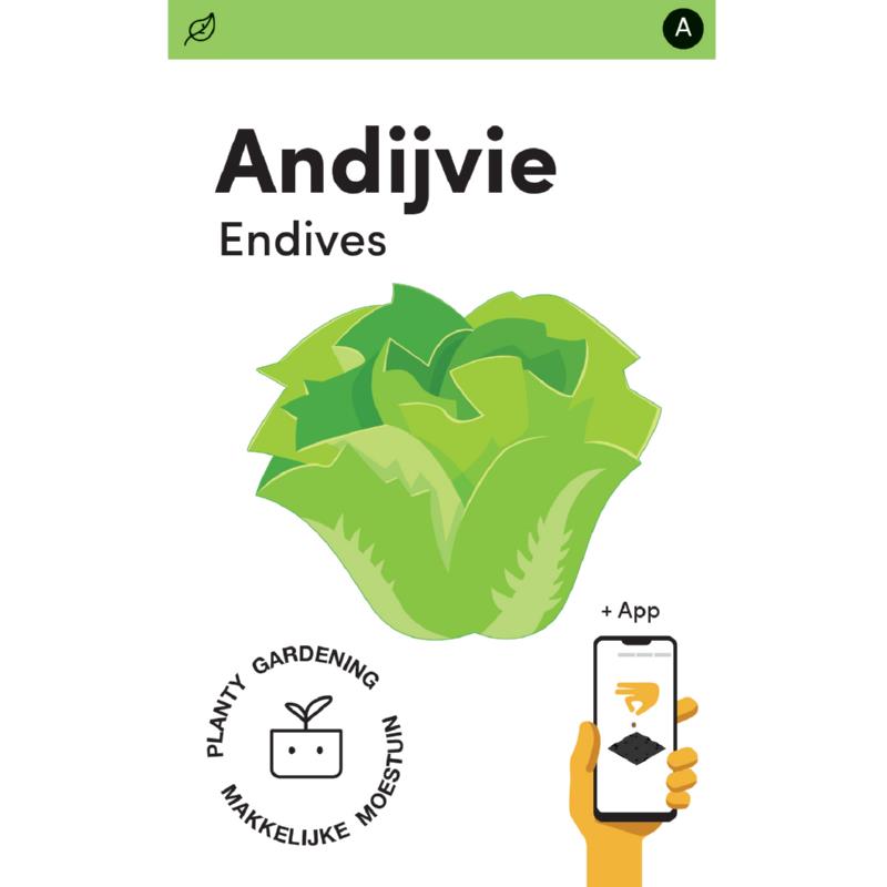 Makkelijke Moestuin Andijvie