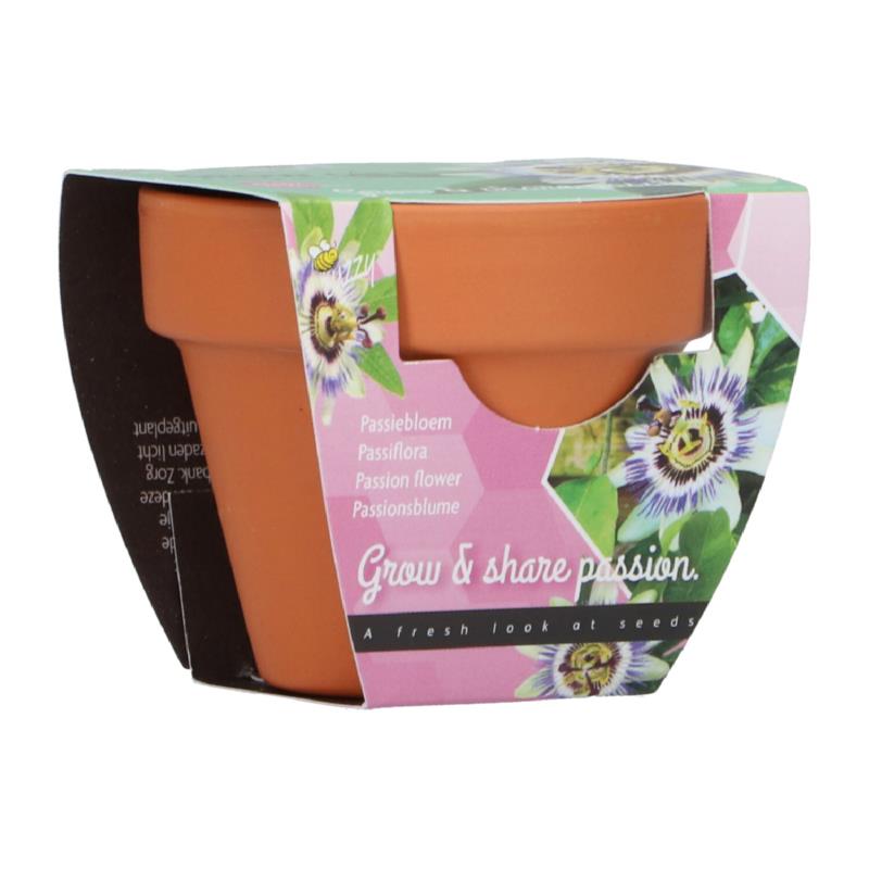 Grow Gift Passiflora