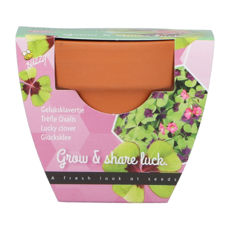 Grow Gift Klavertje 4