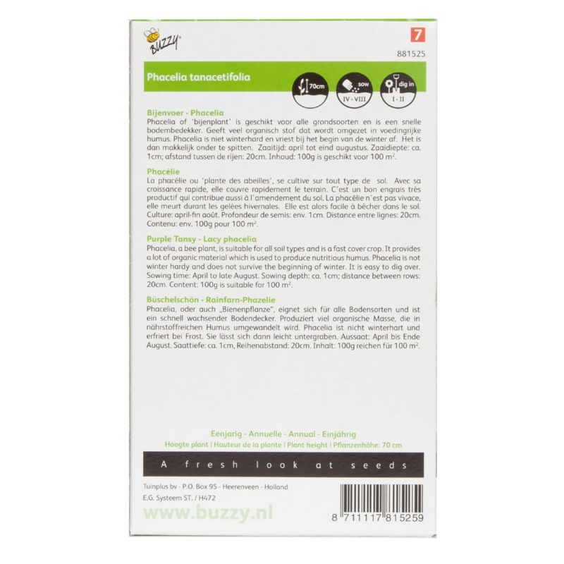 Phacelia Tanacetifolia Groenbemester 100M²