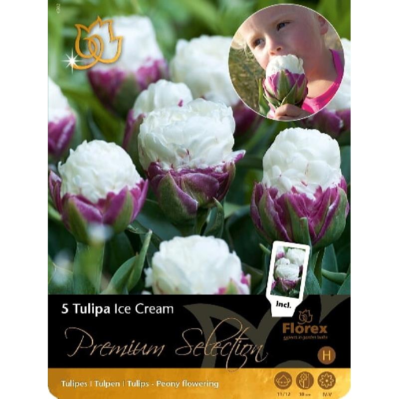 Premium Tulp Ice Cream, 5 stuks
