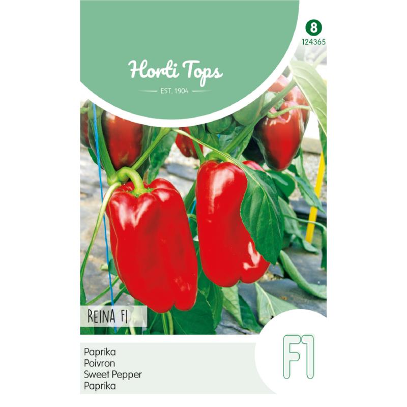 Paprika Solero F1