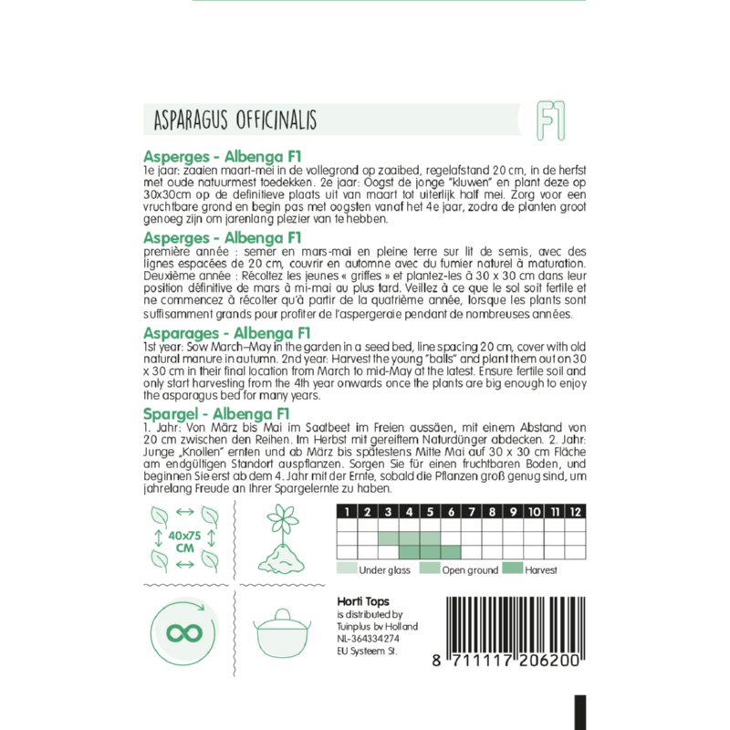 Paarse Asperge Albenga F1